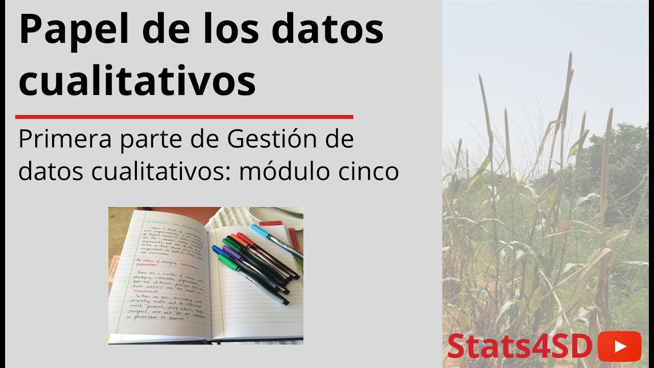Papel de los datos cualitativos