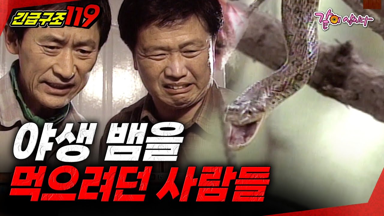 [긴급구조119] 야생 뱀을 먹기 위해 집에 가져온 사람들의 최후 | KBS 1998.10.25
