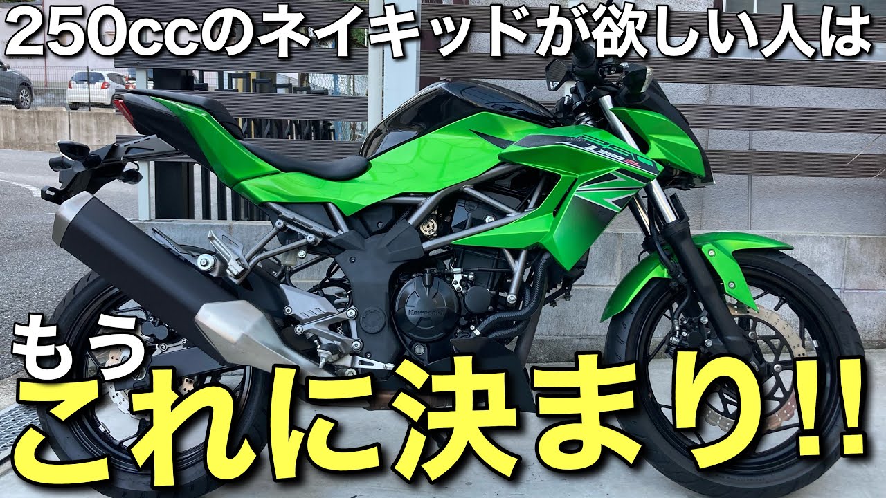 【Z250SL】スーパーライトなネイキッドで素敵なバイクライフを！