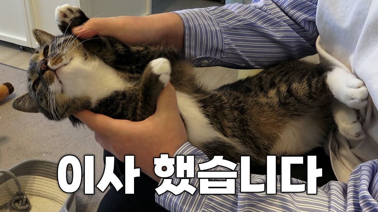 너무 힘들었습니다...
