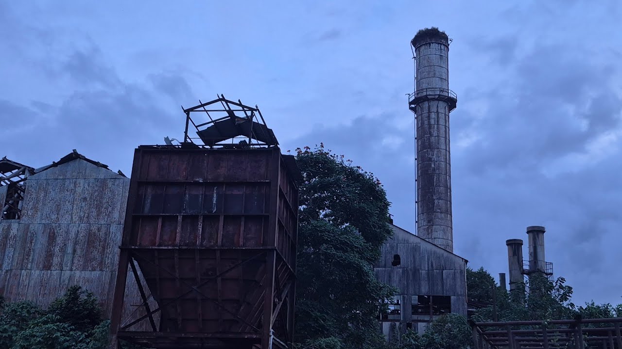 Las Ruinas de la Central Coloso hoy día. Murciélagos Gigantes viviendo entre la chatarra. 
