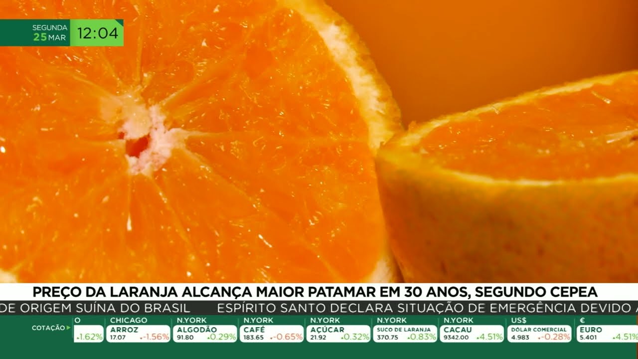 Preço da laranja alcança maior patamar em 30 anos, segundo Cepea