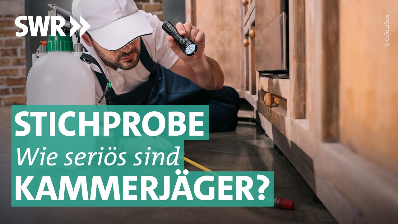 Wie gut sind Schädlingsbekämpfer? Handwerker-Stichprobe | Marktcheck SWR