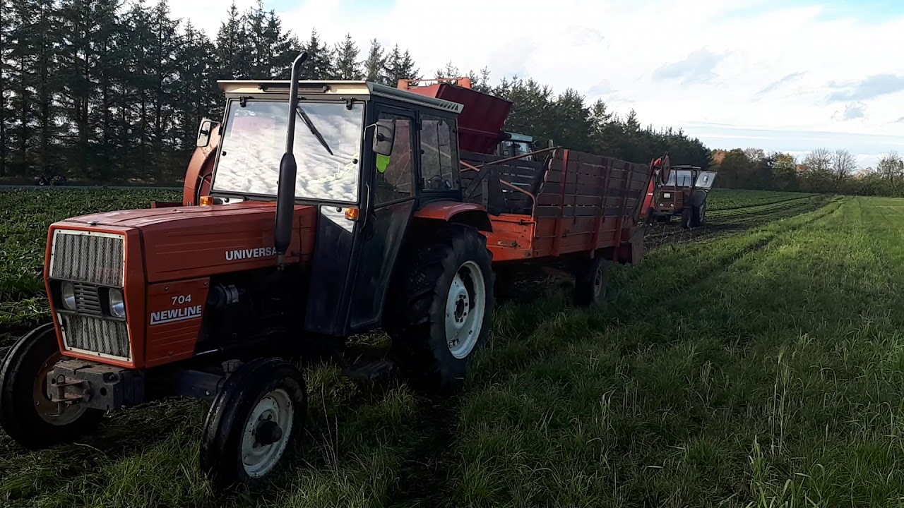 Roeoptagning ved Foderladen 2018