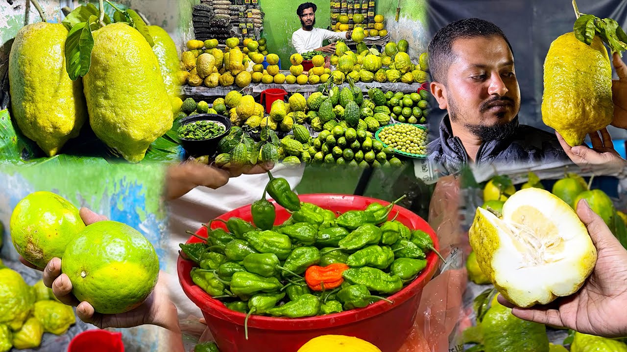 সিলেটে আড়াই কেজি ওজনের একটা লেবুর দাম চাইলো ১২০০ টাকা 🙄 সিলেটের সাতকরা ১০০/২০০ টাকা পিস 👍
