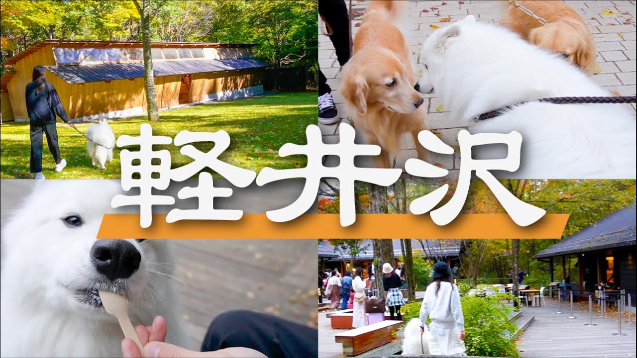 軽井沢の高級グランピング貸切にしてみたら最高の思い出ができました！【サモエド】