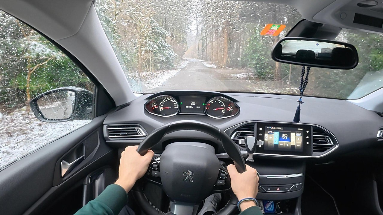 POV White Forest, Quiet Roads | Peugeot 308 (125hp)