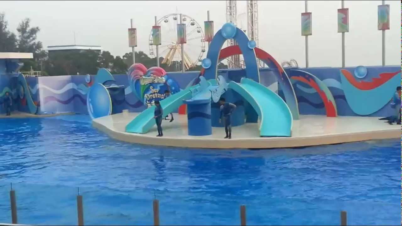 Dolphin Tale Part 2 Ocean Park Hong Kong