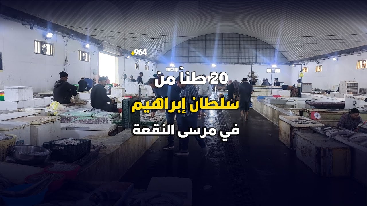 “سلطان إبراهيم” من أغلى أسماك مصر وتركيا يباع بـ 4 آلاف في العراق