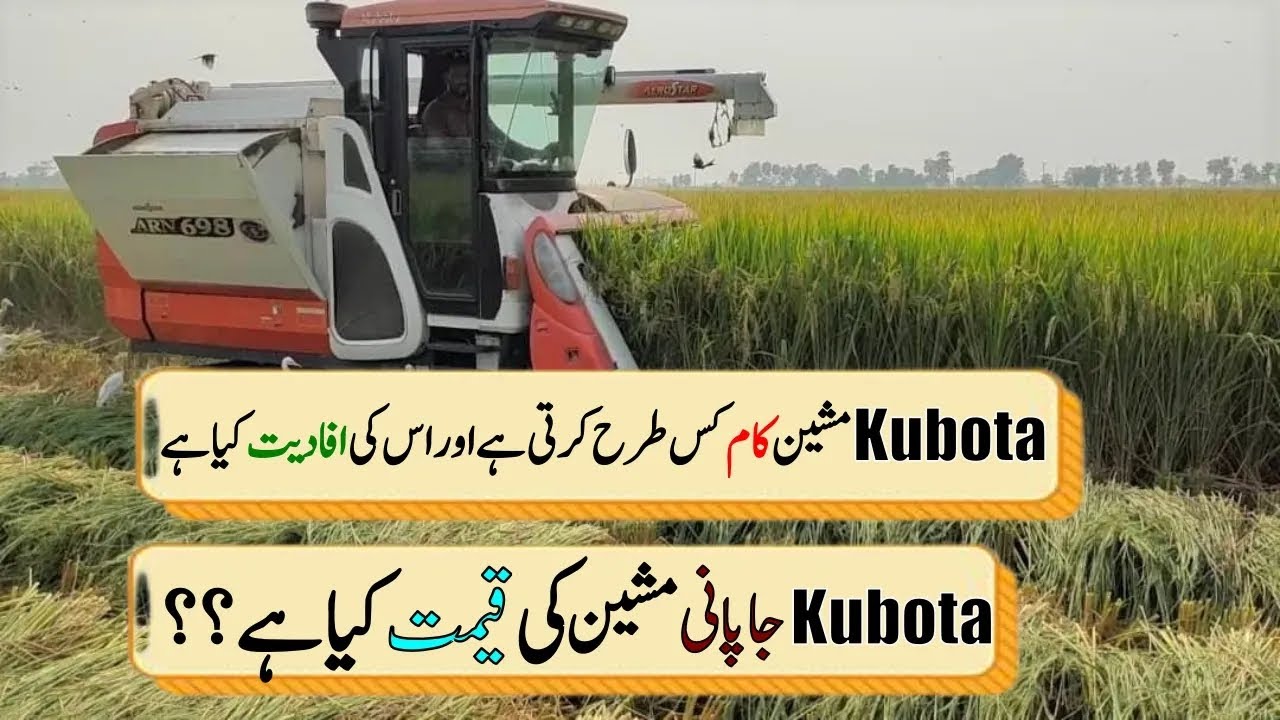 Kubota ARN698&ARN690 combine harvester field working/ Kubota Japan made machine ,