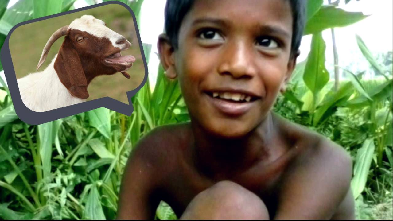 Crazy boy barking amazingly like two different animal sounds