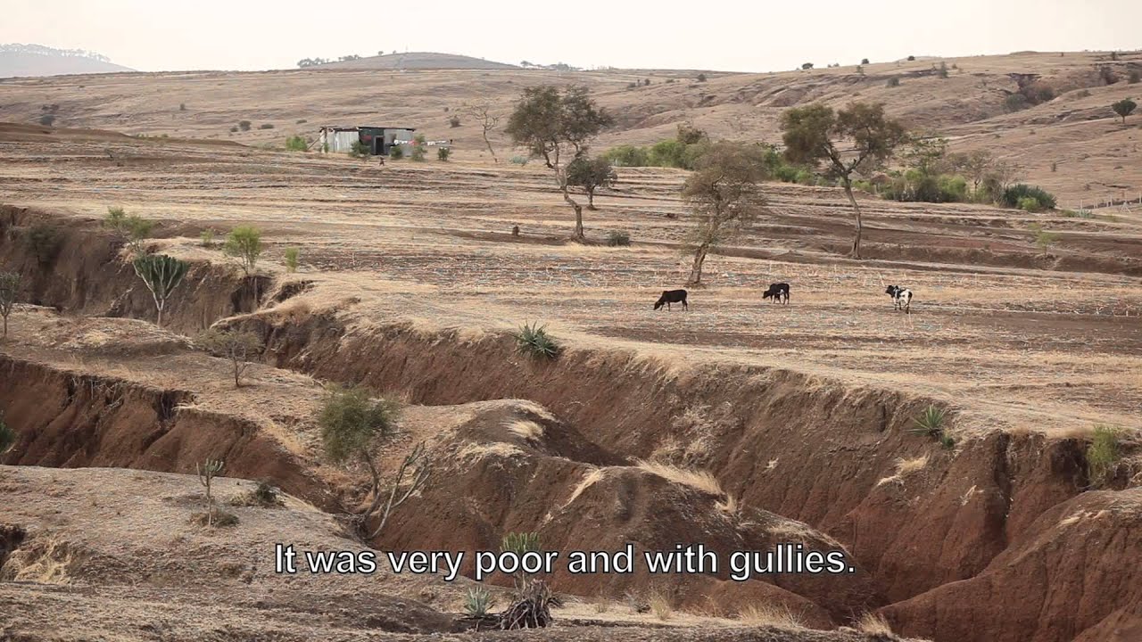 Agroecology: farmer's perspectives