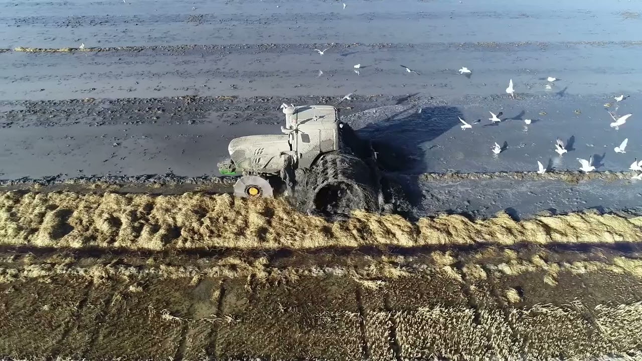 Trabajos agrícolas 2019