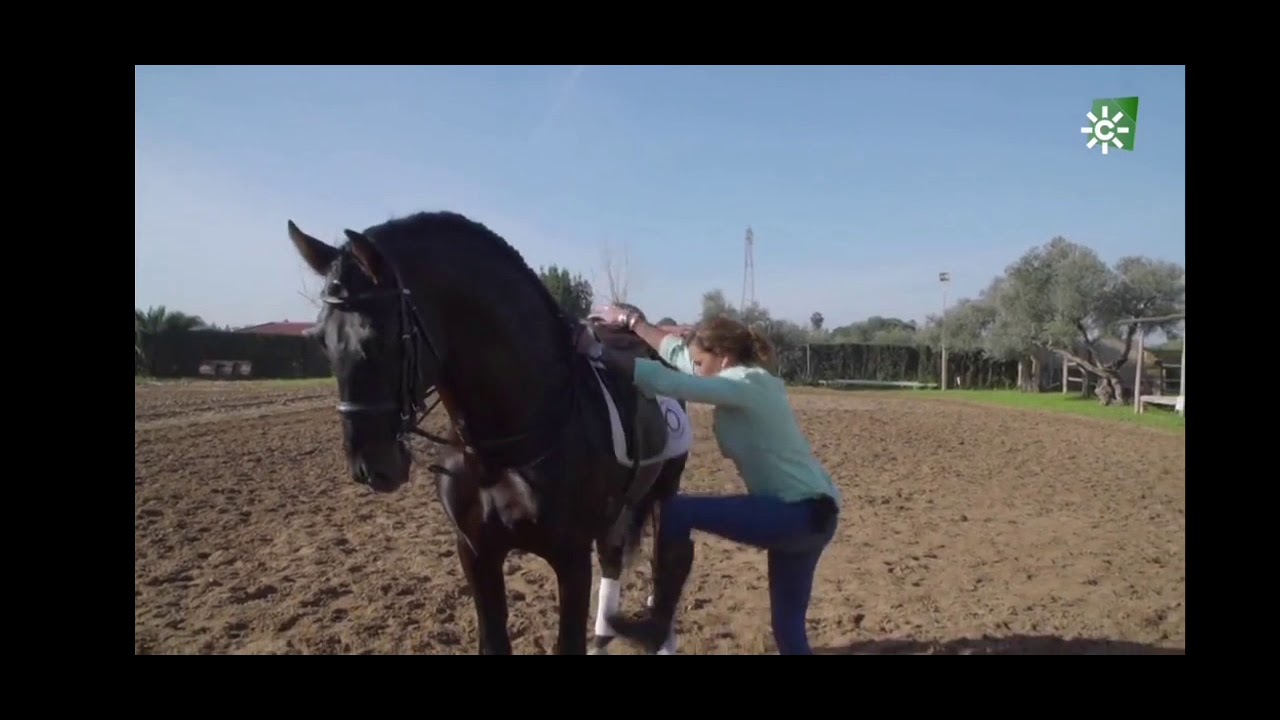 Marisol Bizcocho enseñando sus caballo y su poni de Toñi Moreno