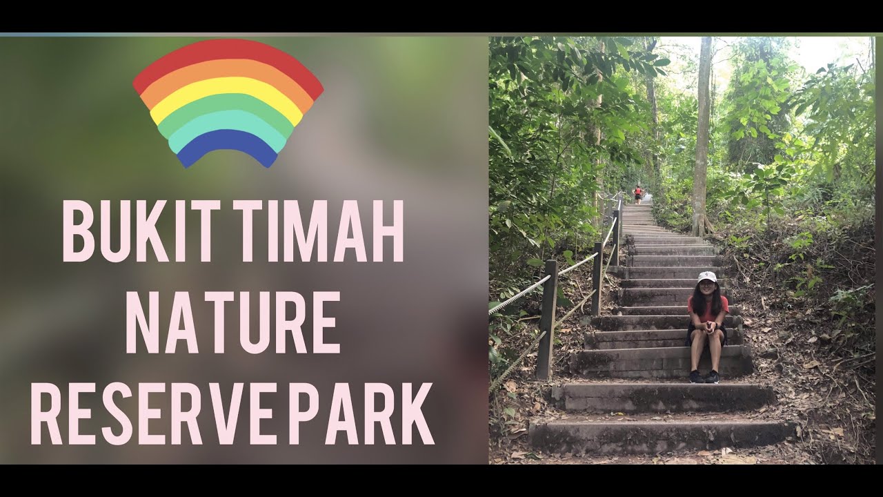 Bukit Timah Nature Reserve Park/ Highest Peak in Singapore/ How to get there?😊