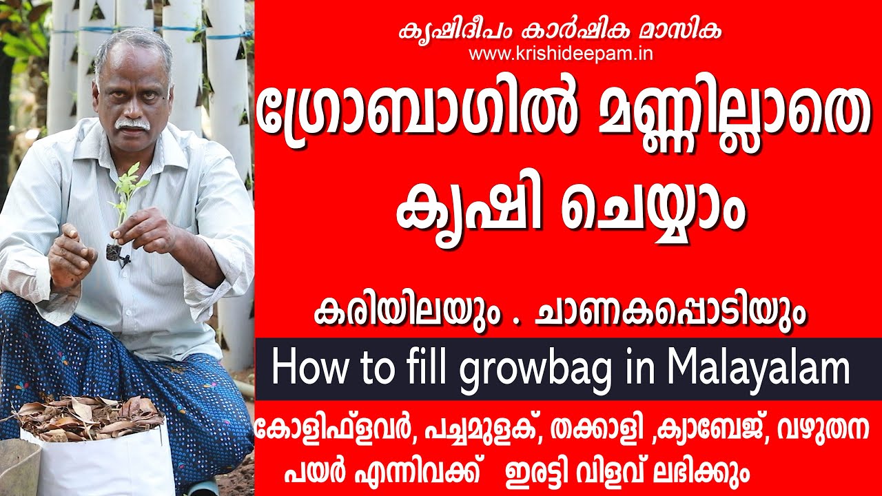 ഗ്രോബാഗിൽ മണ്ണില്ലാതെ പച്ചക്കറി കൃഷി ചെയ്യാം