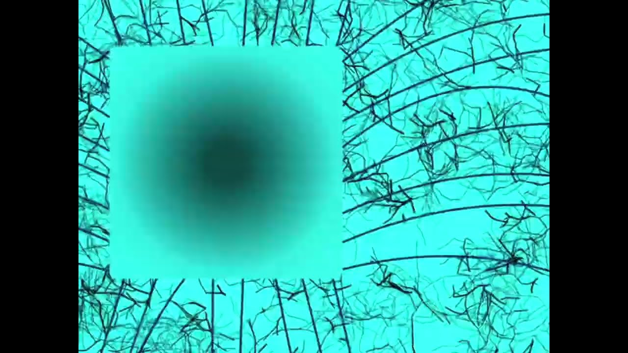 Going inside the WobbleBox_Heart