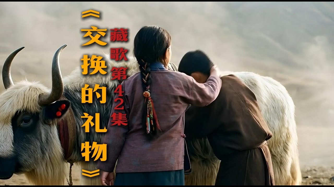 《交换的礼物》【歌曲故事】藏族女孩和心仪的男孩交换礼物[Song Story] A Tibetan girl and the boy she likes exchange gifts.