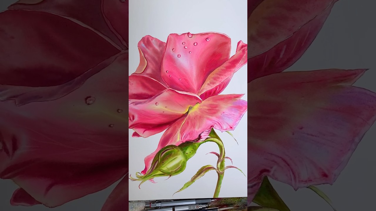 Watercolor Rose: Realistic Petals Technique