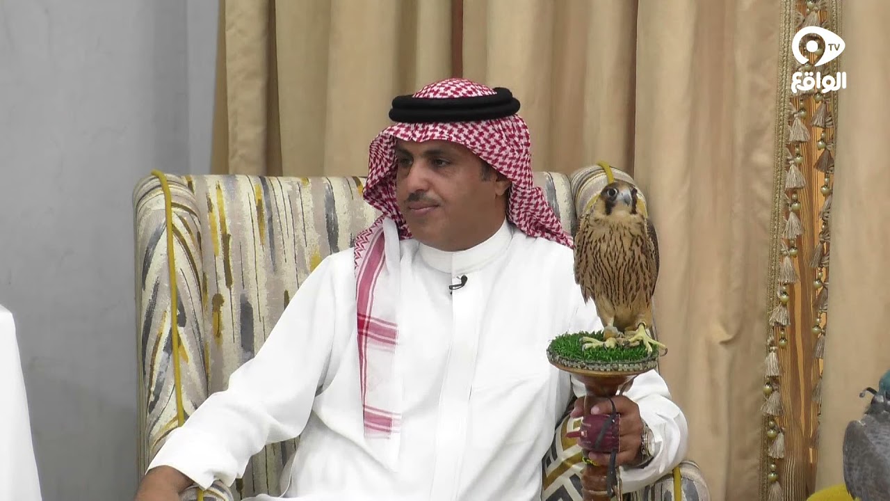 الصقر الجبلي | سعود عايض بن عصيم #كاريزما19