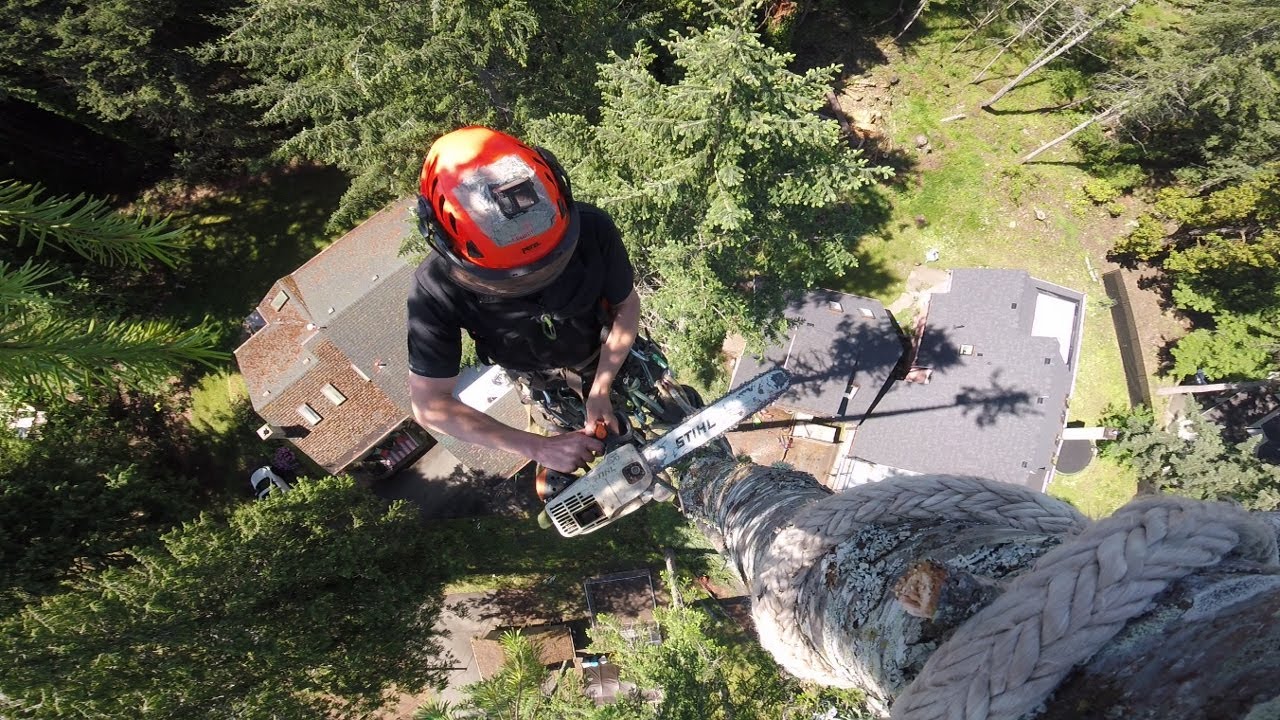 Tree Rigging - Vertical Zipline