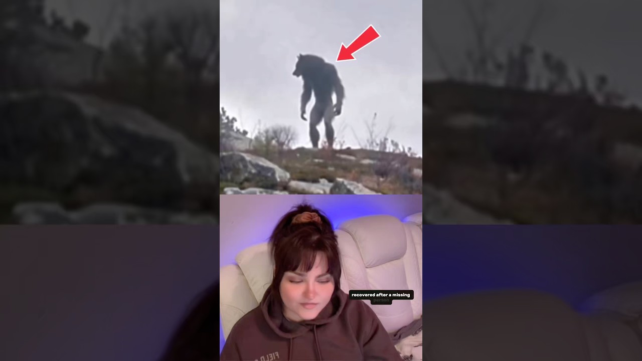 Встреча с Человеком-собакой, снятая рейнджером парка #dogman #cryptid #caughtoncamara #reactionvi...