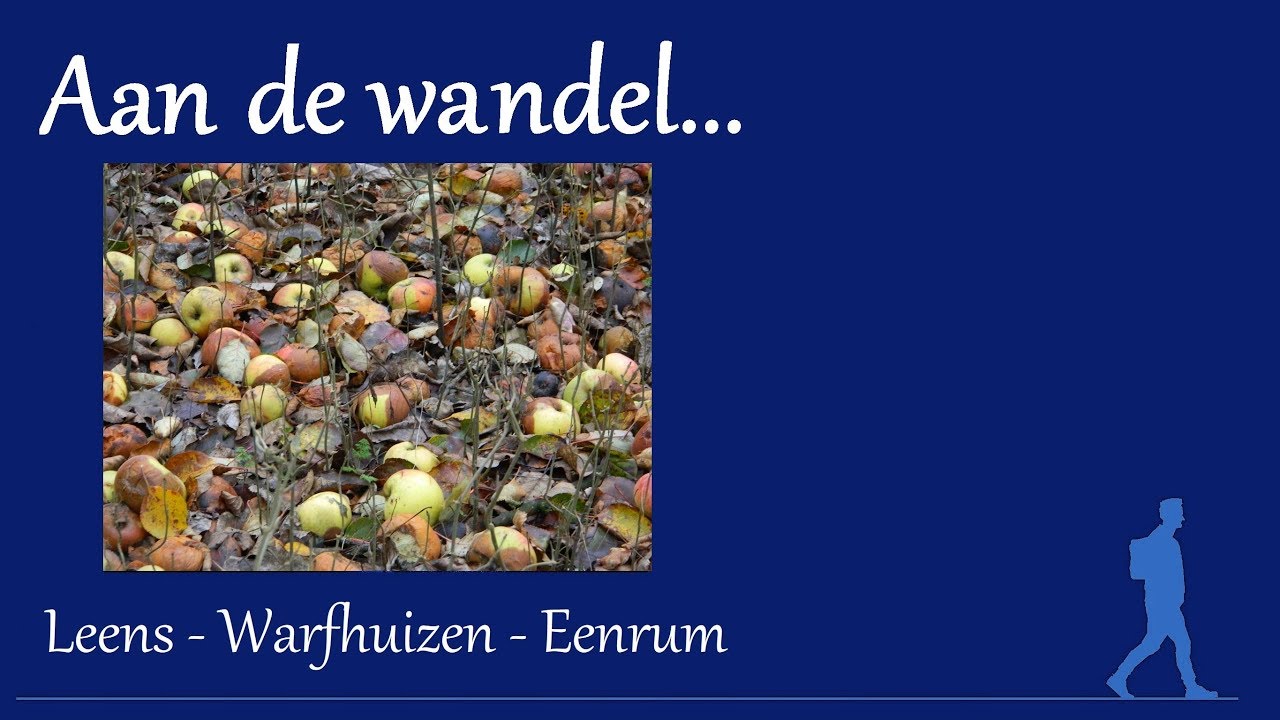 Aan de wandel van Leens naar Eenrum
