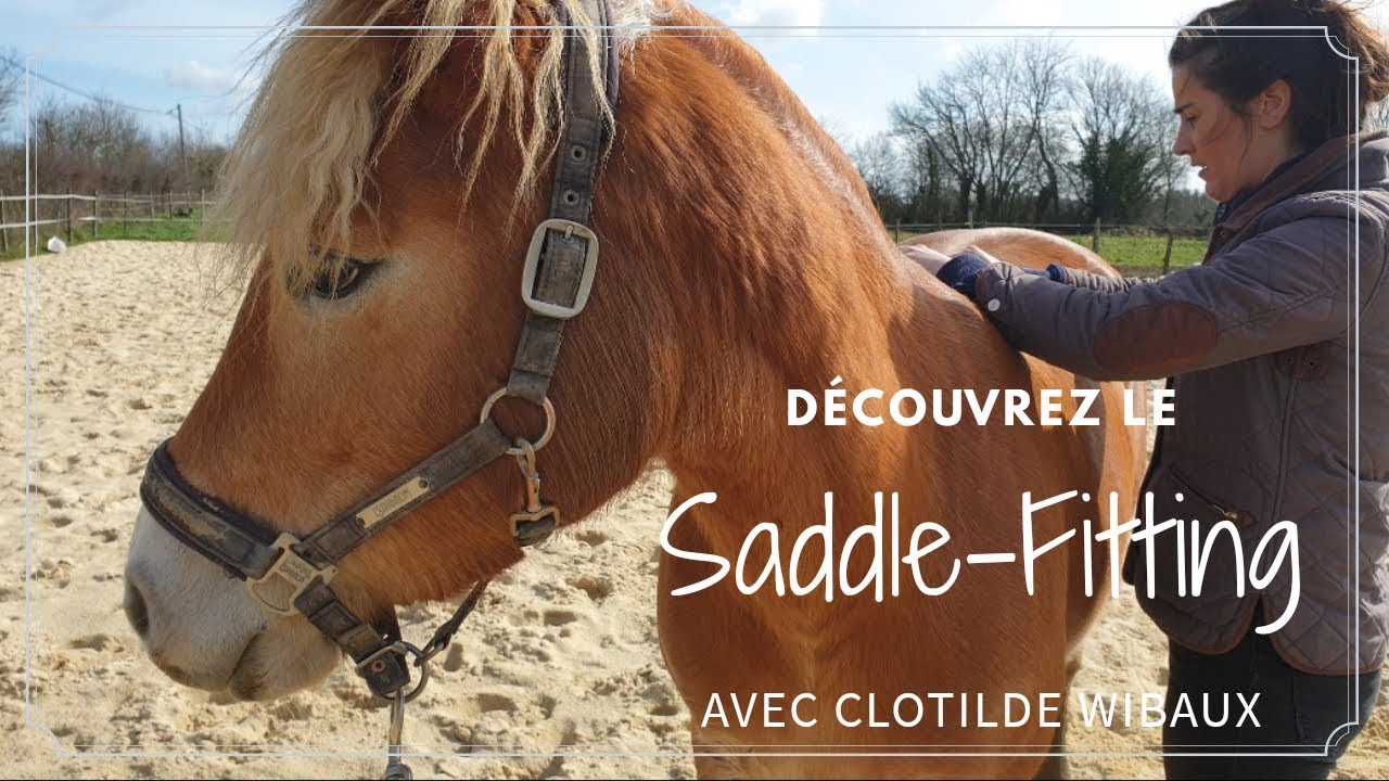 [ SADDLE FITTING ] Ma qu&ecirc;te pour une selle adapt&eacute;e