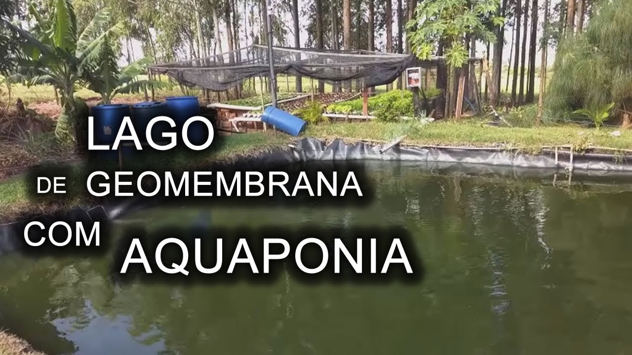 COMO ESTÁ O LAGO DE GEOMEMBRANA DO ROGÉRIO HOJE Canal Saalada