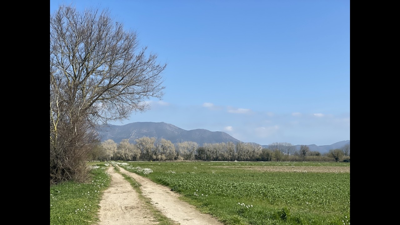 Finca rústica a la venta en Castelló d'Empúries.