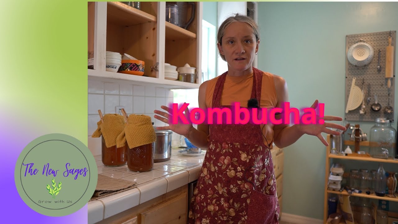 How to Brew Kombucha | SAVE Money Healthy Probiotic | Continuous brew