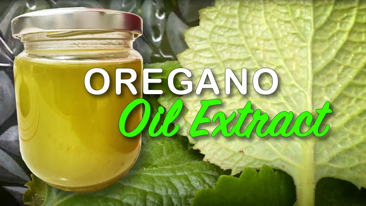 How to Make Oregano Oil From Oregano Leaves