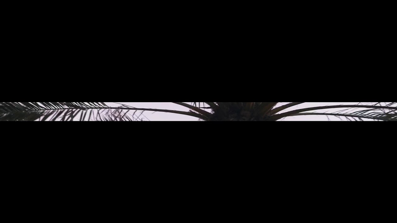 Bloody Bleek- Nia Long Ft. Vno400 (official music video) shot by.@20kvisuals