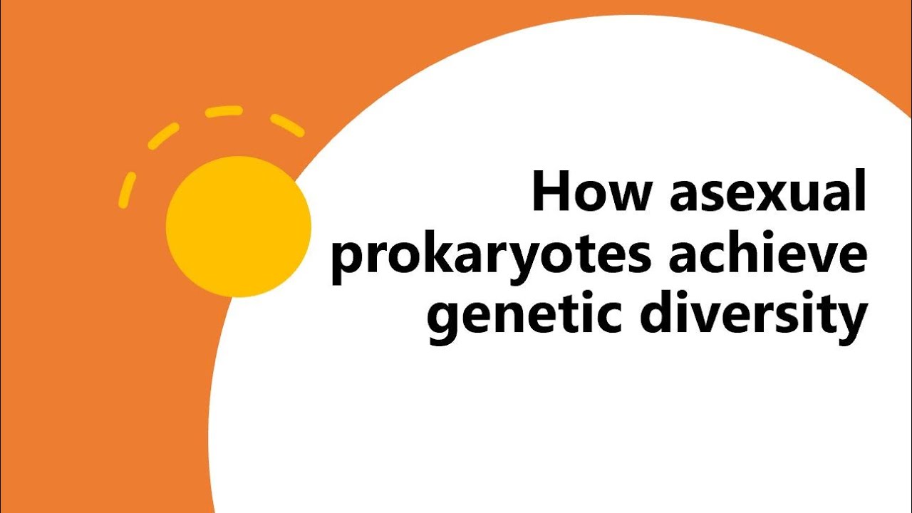 How asexual prokaryotes achieve genetic diversity lecture