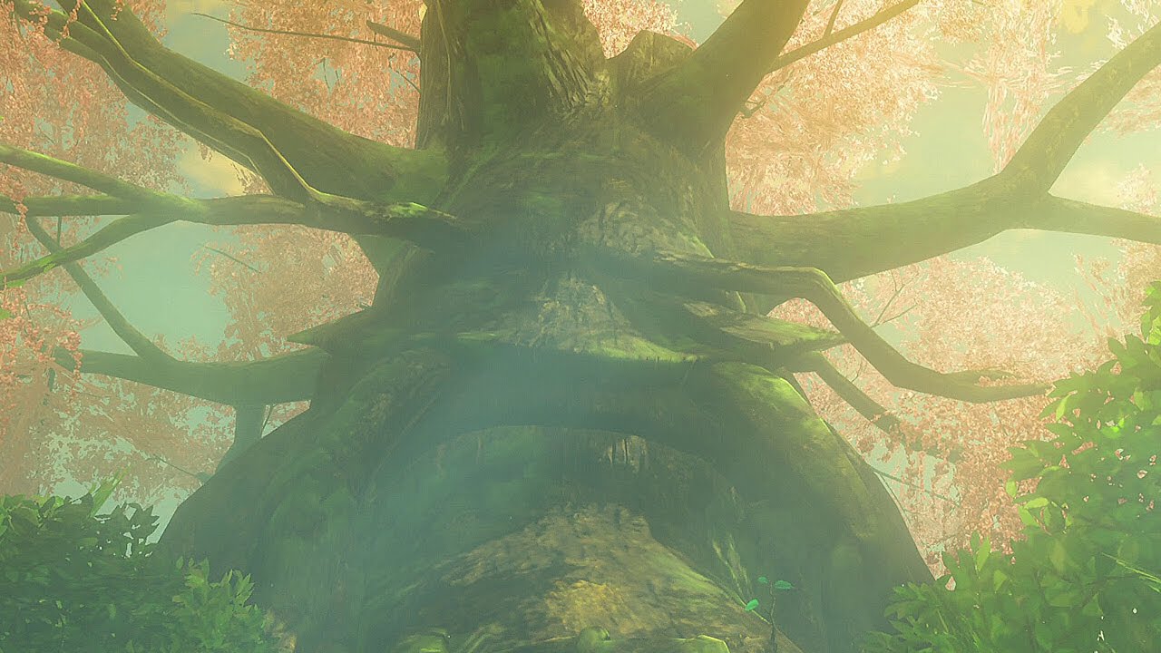 Legend of Zelda: Breath of the Wild | Great Deku Tree