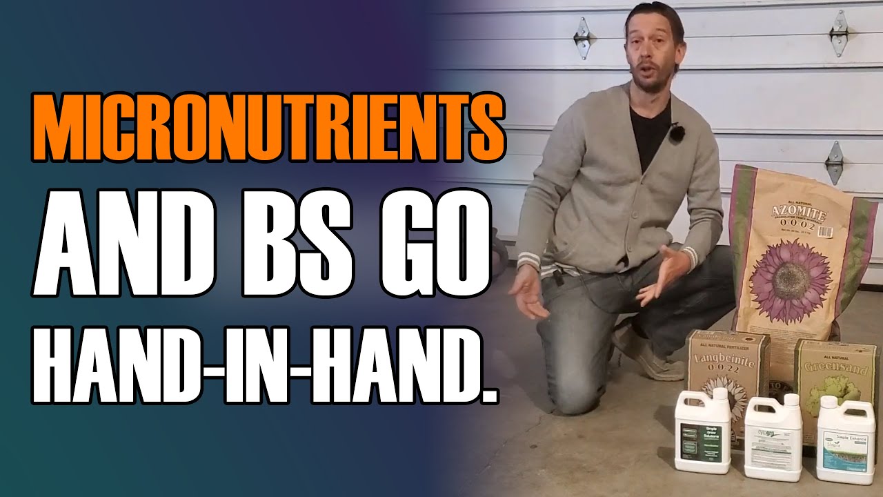 Micronutrients and BS Go Hand-in-Hand