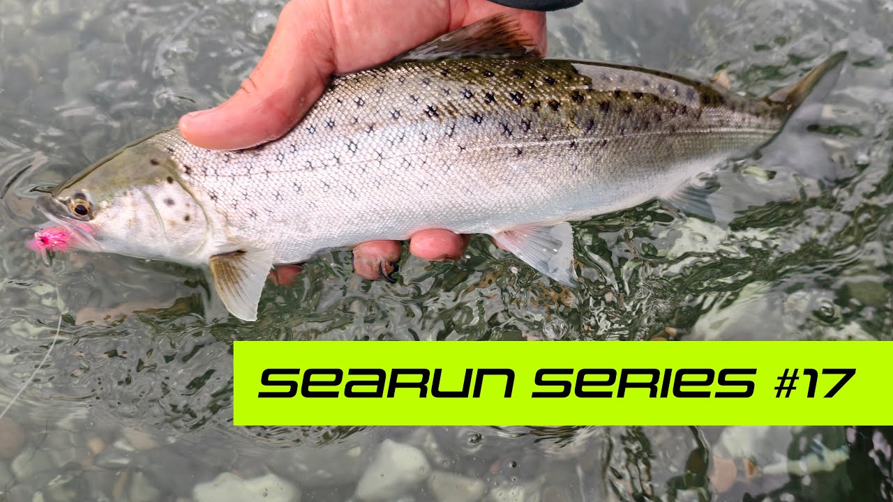 Серия SEARUN — Эпизод 17 — Тайна прилива