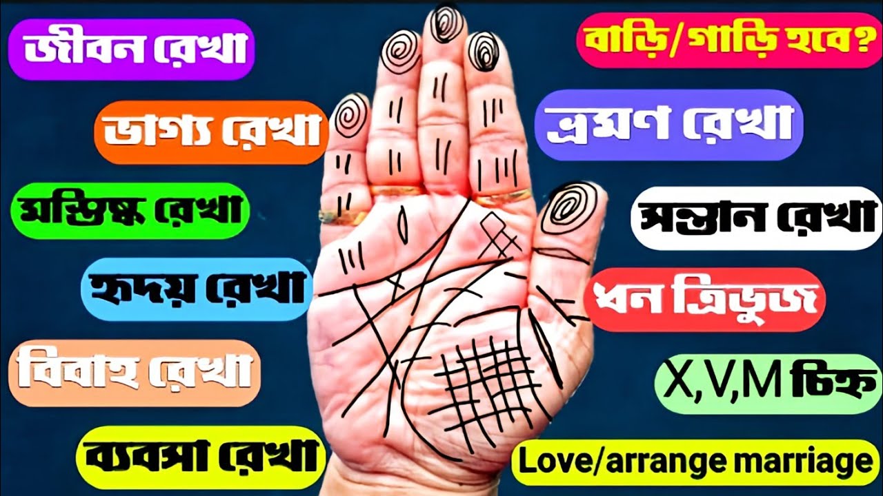 হাতের সমস্ত রেখার বিশ্লেষণ।জীবন রেখা,ভাগ্য রেখা,বিবাহ রেখা,সন্তান রেখা #palmistry #astrology #viral