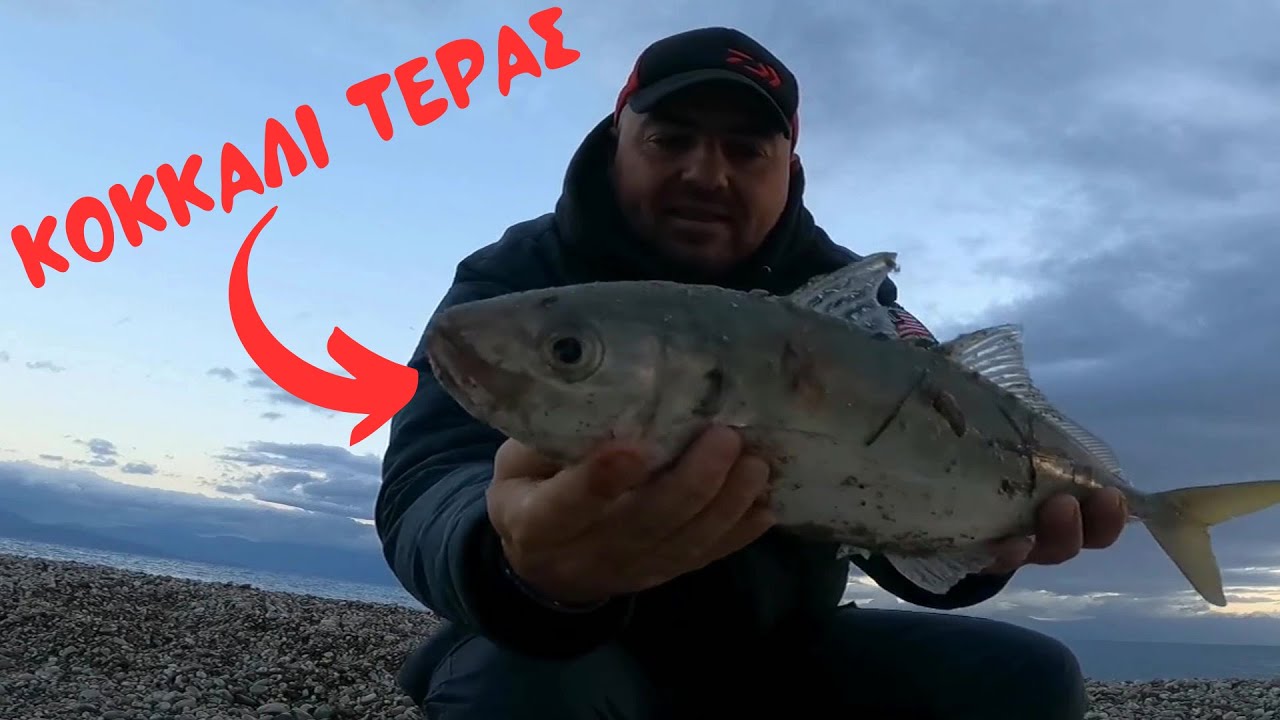 ΤΟ ΚΟΚΚΑΛΙ ΤΕΡΑΣ ΚΑΙ ΤΟ ΑΣΤΑΜΑΤΗΤΟ ΜΑΓΙΑΤΙΚΟ!!! #fishingingreece #fishing #psarema #spinningfishing
