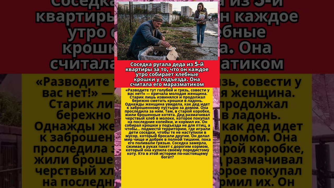 Соседка ругала &laquo;сумасшедшего&raquo; деда за хлебные крошки, но проследив за ним &mdash; ЗАМЕРЛА ОТ СТЫДА...