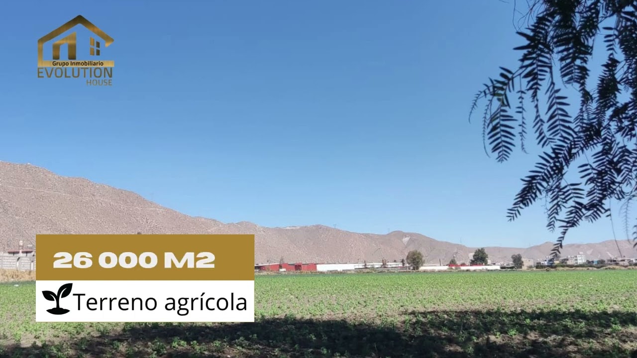 VENTA DE TERRENO AGR&Iacute;COLA EN TIABAYA