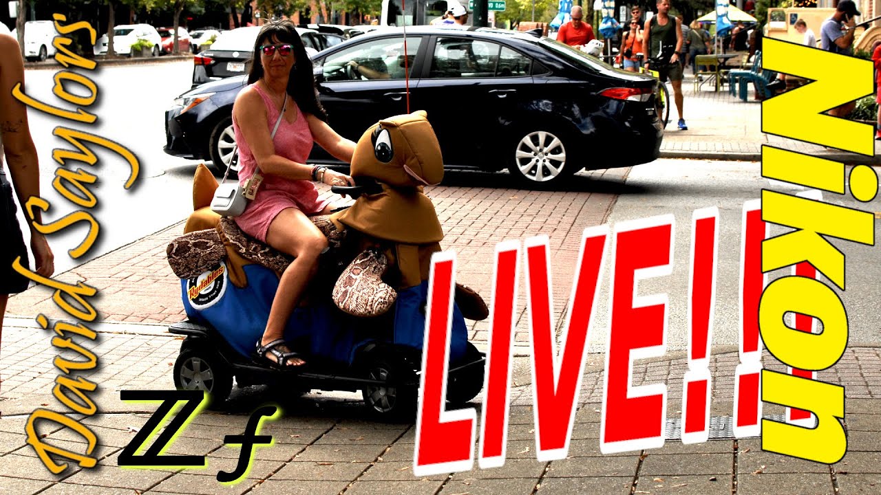 Nikon Zf Lens Perfection Georgia Photographer Live Stream
