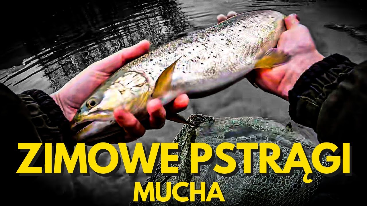 Zimowa Wyprawa Po Pstrąga - Mucha, Mróz i Ryby