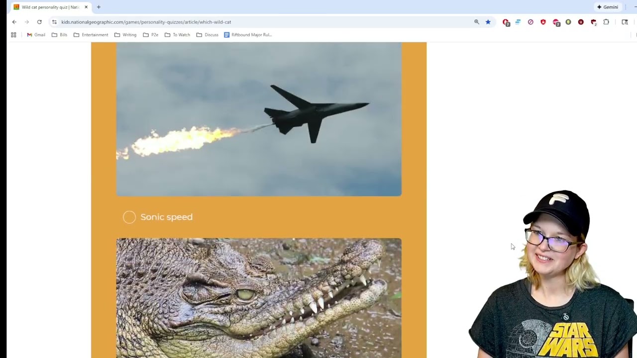 Which Wild Cat Are You?