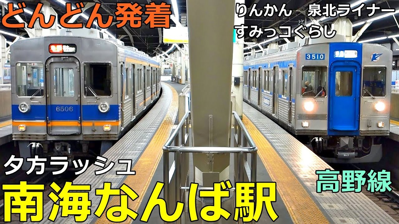 南海なんば駅 (高野線 2)🚃どんどん電車が発着！●夕方ラッシュ 特急 りんかん・泉北ライナー、すみっコぐらし、急行、準急 等