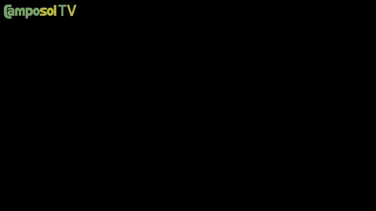 Camposol TV live stream