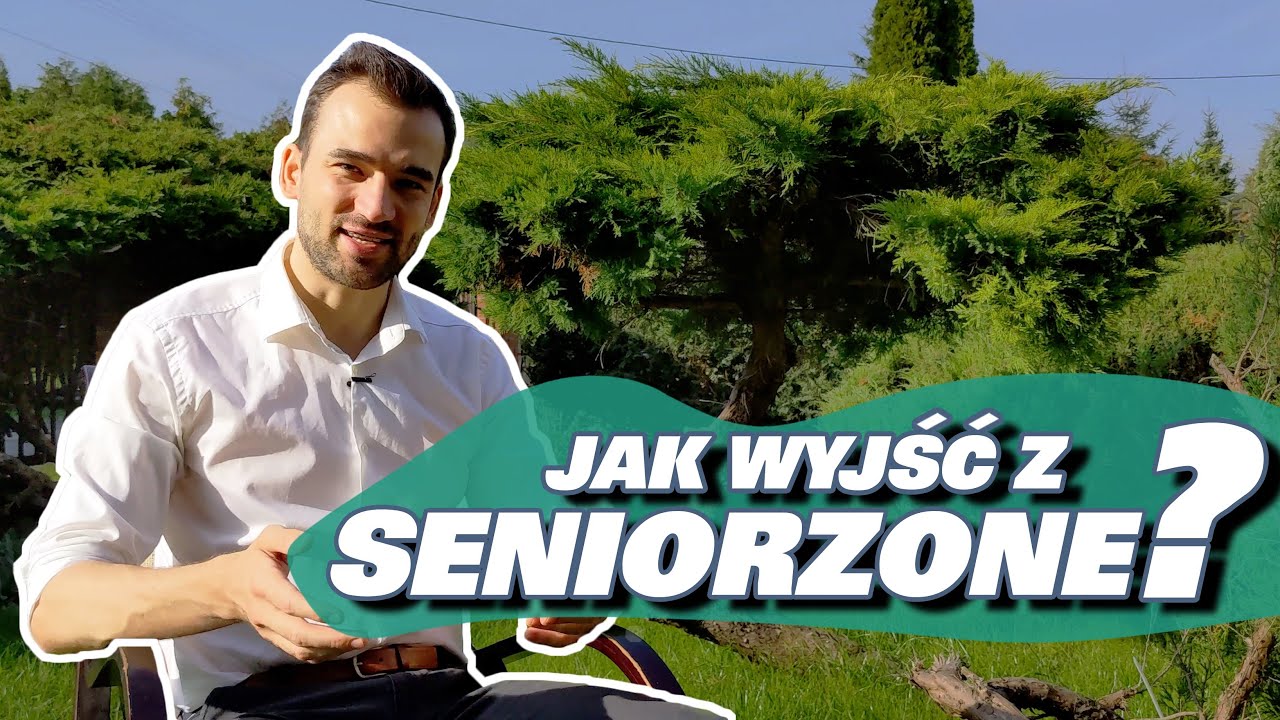 Jak Zostać Liderem Zespołu Technicznego Lub Architektem IT?