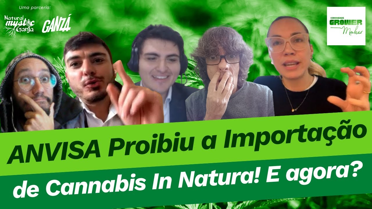 ANVISA proibiu a importa&ccedil;&atilde;o de flores de cannabis - E agora? Saiba tudo com nossos especialistas