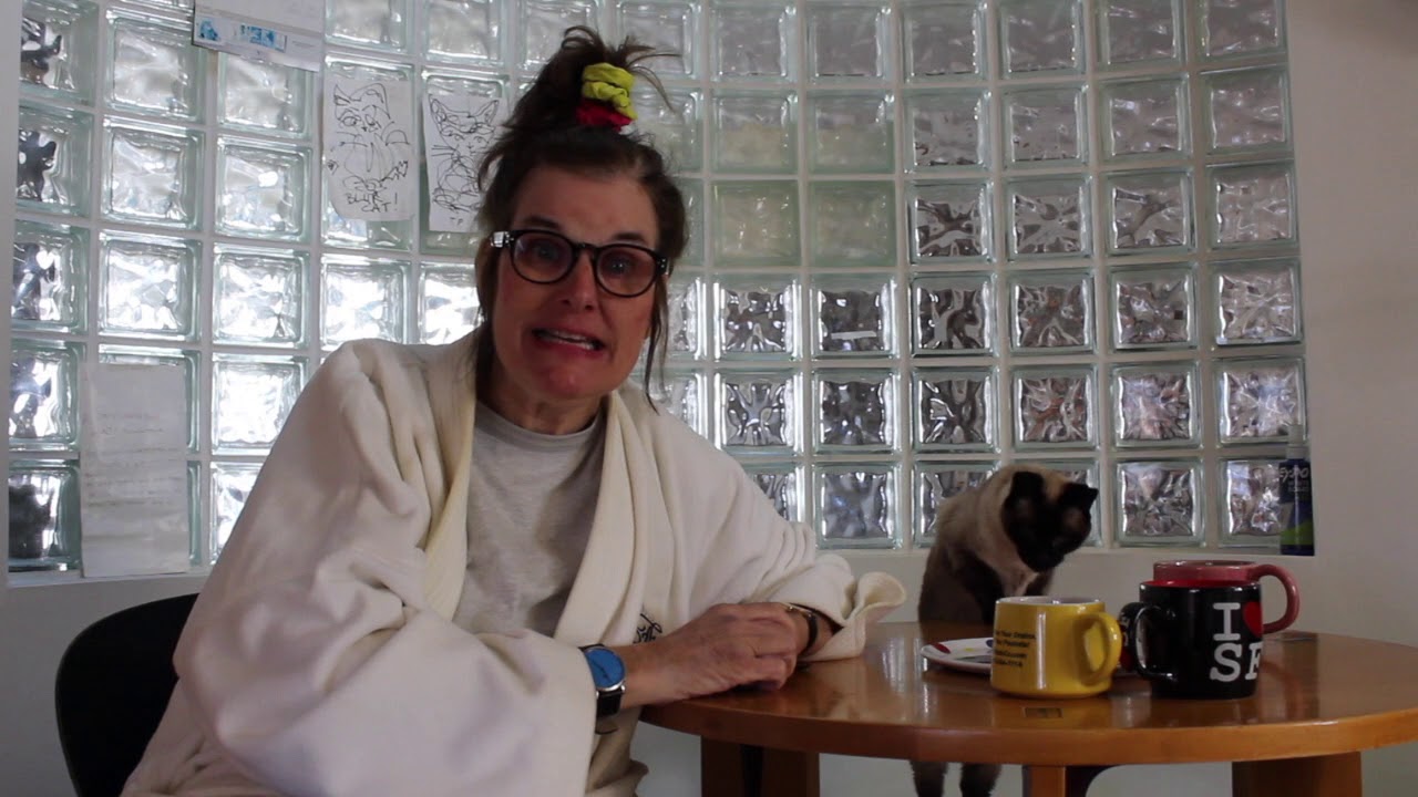 Comic Paula Poundstone as 1st Grade Teacher Ms. Nancy Teaches Math With Coffee (Matheine) Online