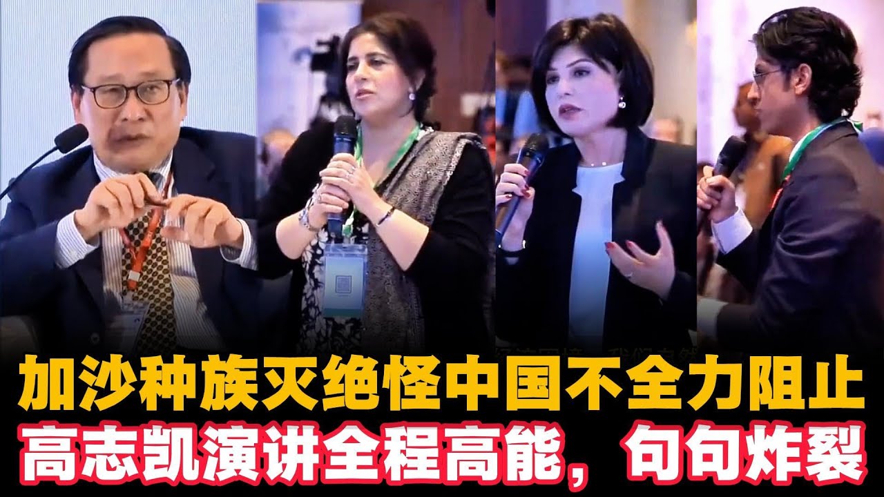 🔥加沙种族灭绝怪中国不全力阻止？高志凯演讲全程高能，句句炸裂|高志凯|Victor Gao|